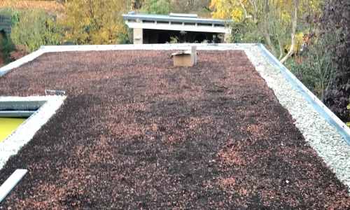 Dachbegrünung & Dachterrassen